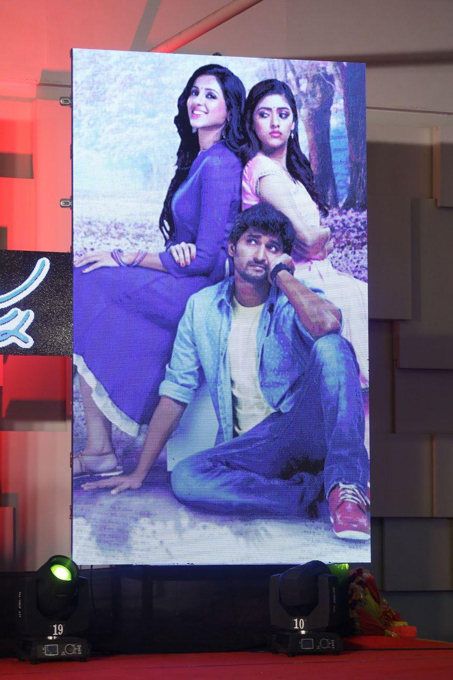 NANI Majnu Movie Audio Launch Photos