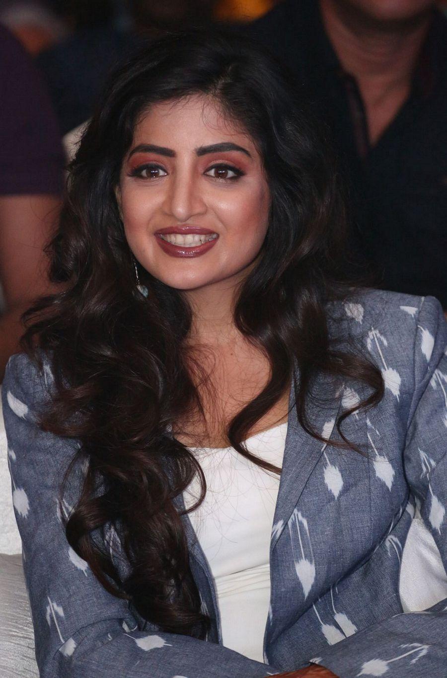 Nakshatram Movie Audio Launch Function Photos