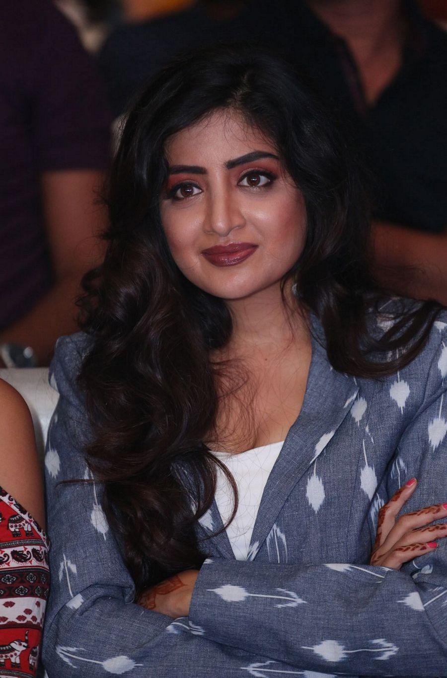 Nakshatram Movie Audio Launch Function Photos