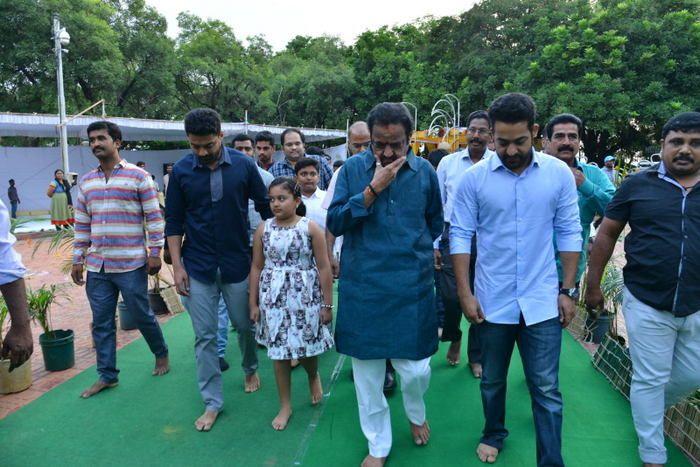 Nandamuri Family & Celebrities pays tributes to Sr NTR Photos