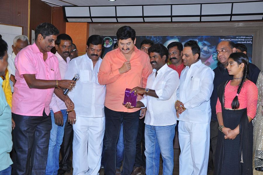 Neelamtalli Ammoru Movie Audio Photos