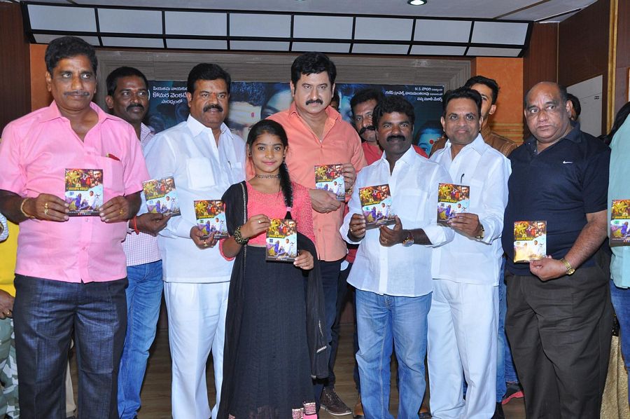 Neelamtalli Ammoru Movie Audio Photos