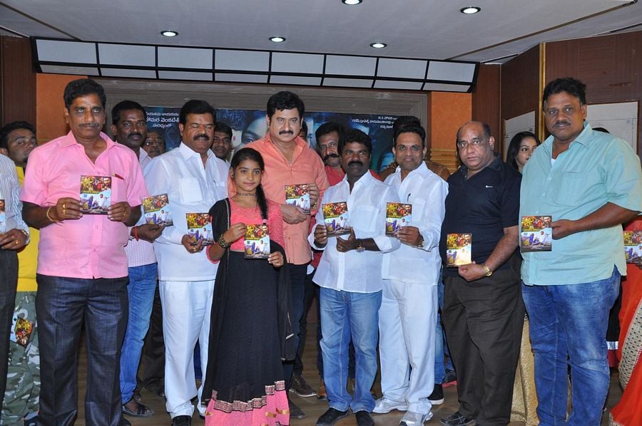 Neelamtalli Ammoru Movie Audio Photos