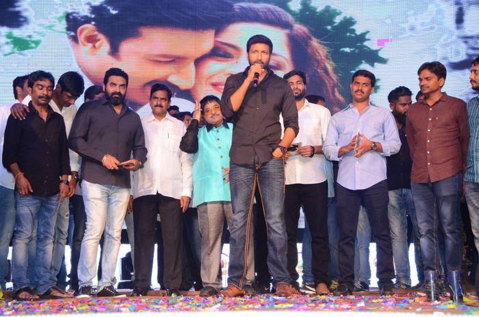 Pantham Movie Audio Launch Photos