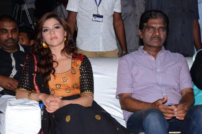 Pantham Movie Audio Launch Photos