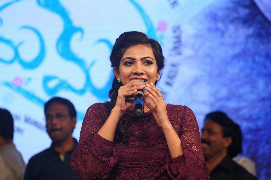 Premam Telugu Movie Audio Launch Photos
