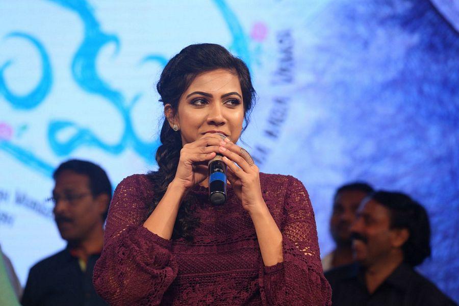 Premam Telugu Movie Audio Launch Photos