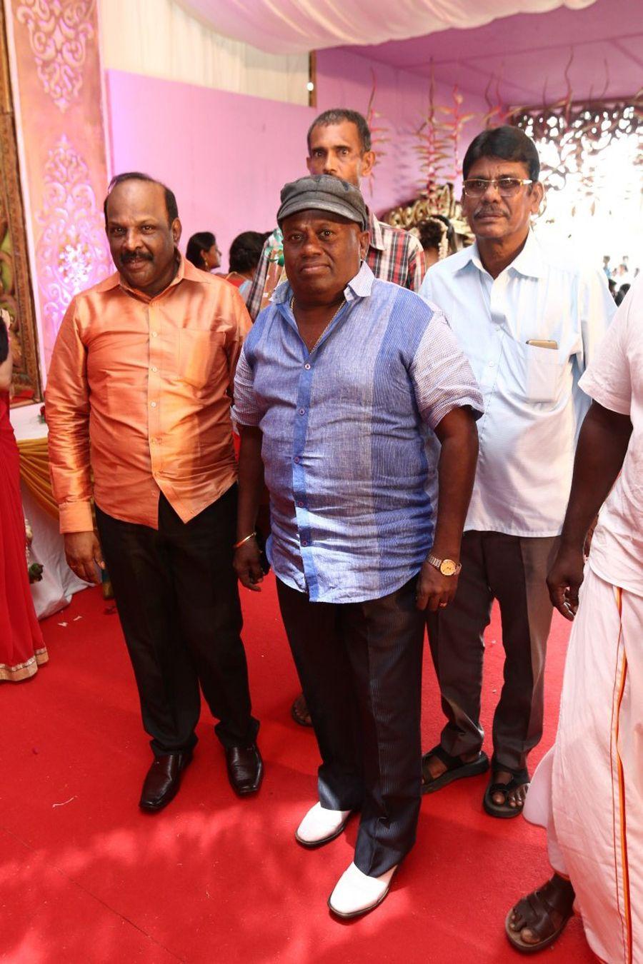 Radhika Daughter Rayane Wedding Ceremony Photos