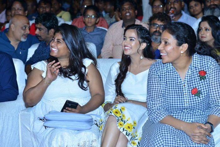 Rajugadu Movie Pre Release Function Photos