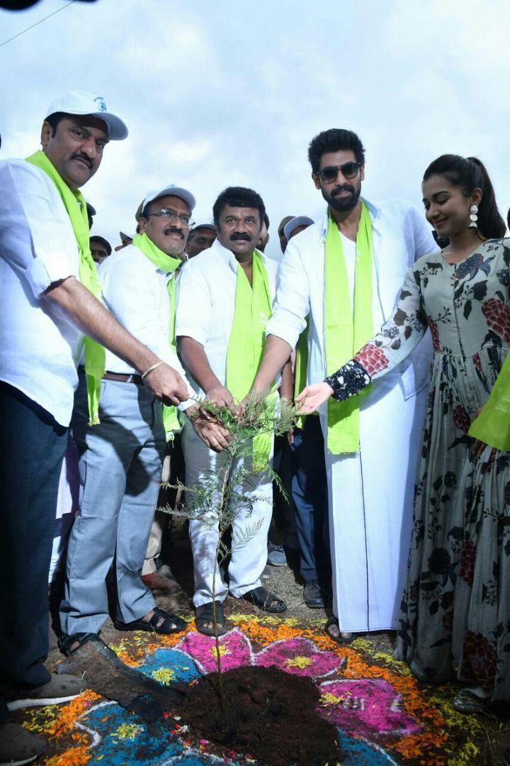 Rana and Actress Catherine Tresa Participate In Haritha Haram