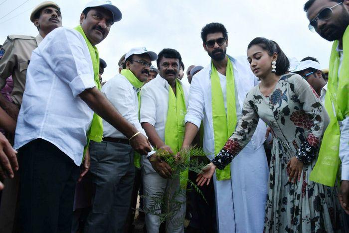 Rana and Actress Catherine Tresa Participate In Haritha Haram