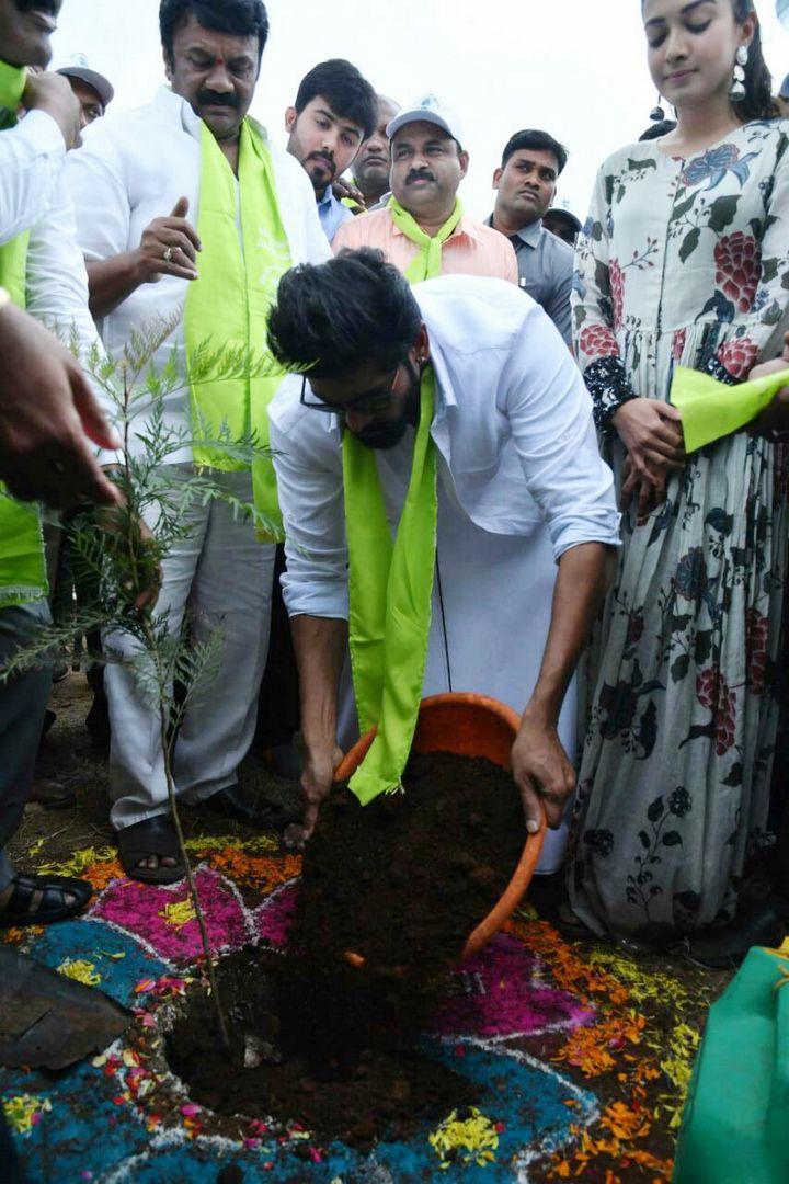 Rana and Actress Catherine Tresa Participate In Haritha Haram