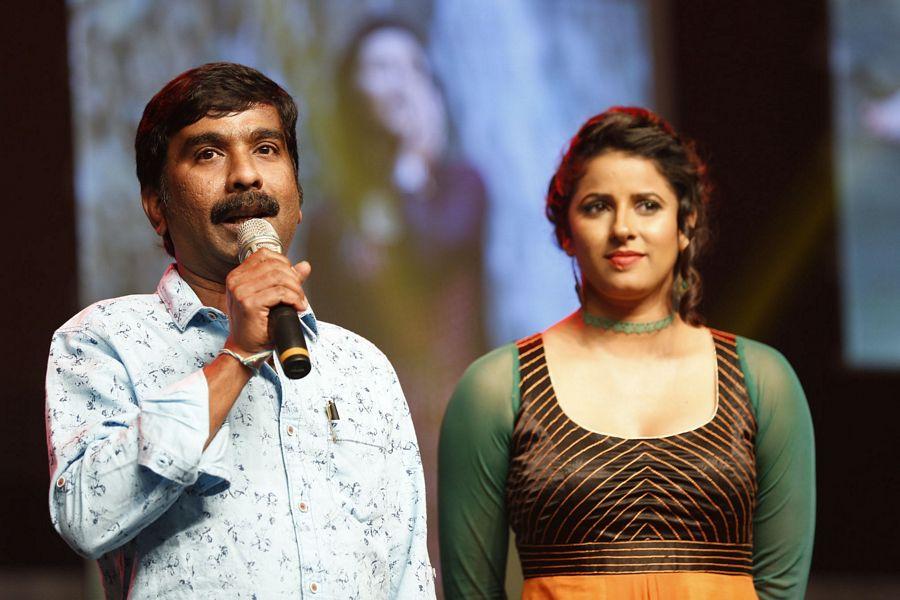 Rogue Telugu Movie Audio Launch Photos