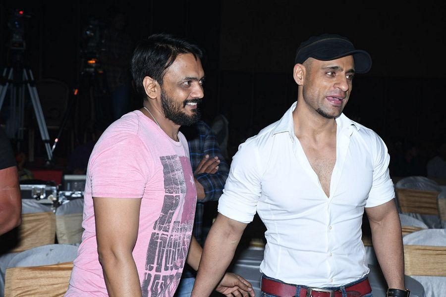 Rogue Telugu Movie Audio Launch Photos