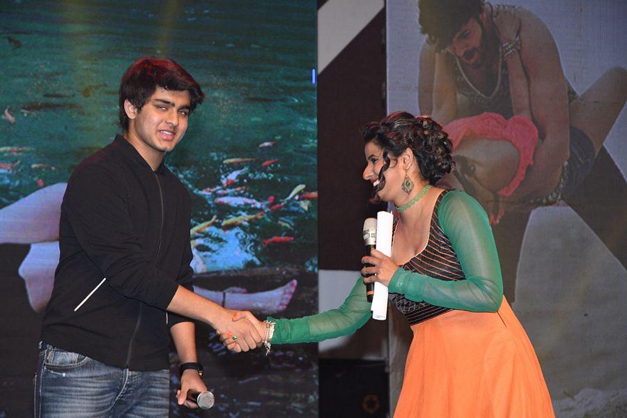 Rogue Telugu Movie Audio Launch Photos