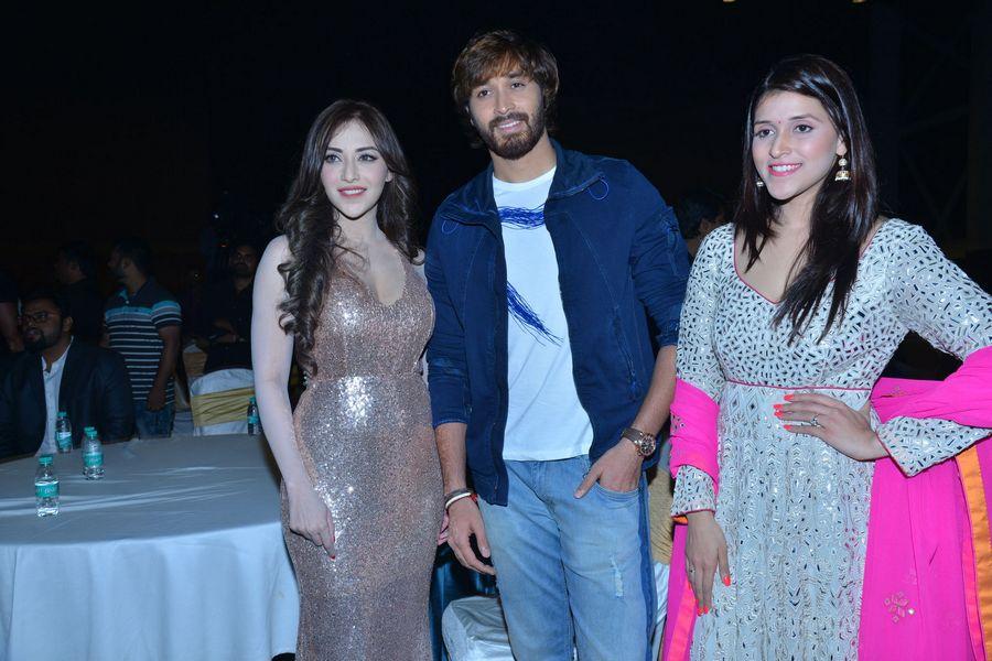 Rogue Telugu Movie Audio Launch Photos