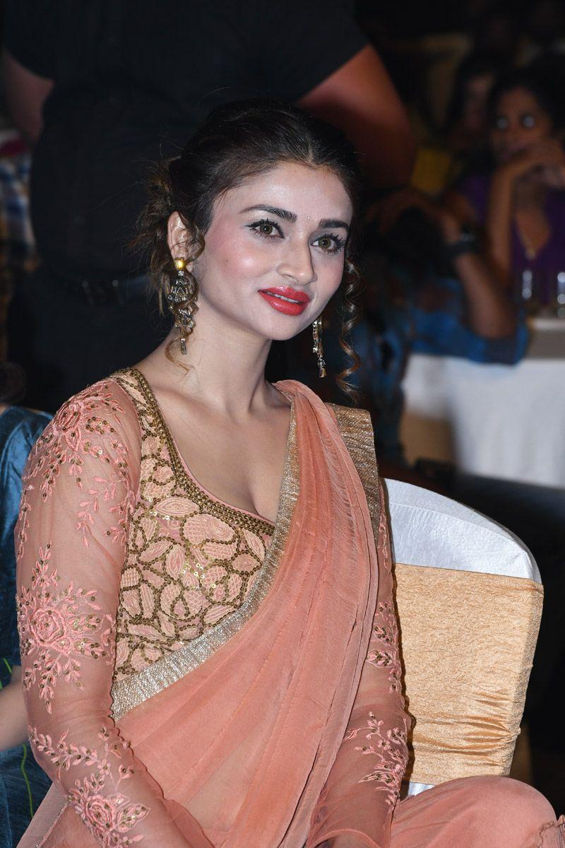 Rogue Telugu Movie Audio Launch Photos