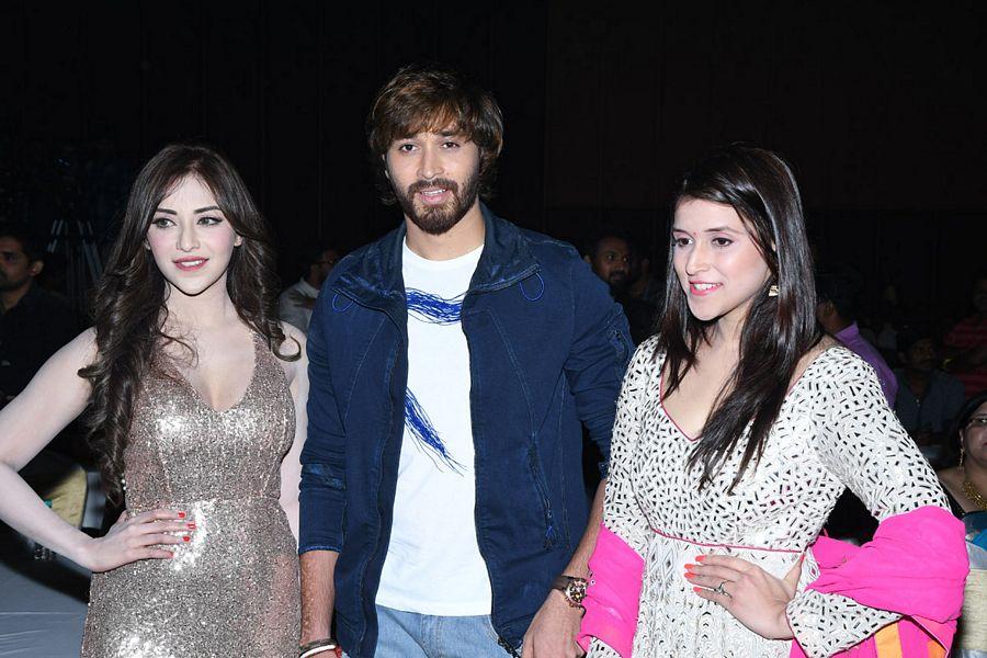 Rogue Telugu Movie Audio Launch Photos