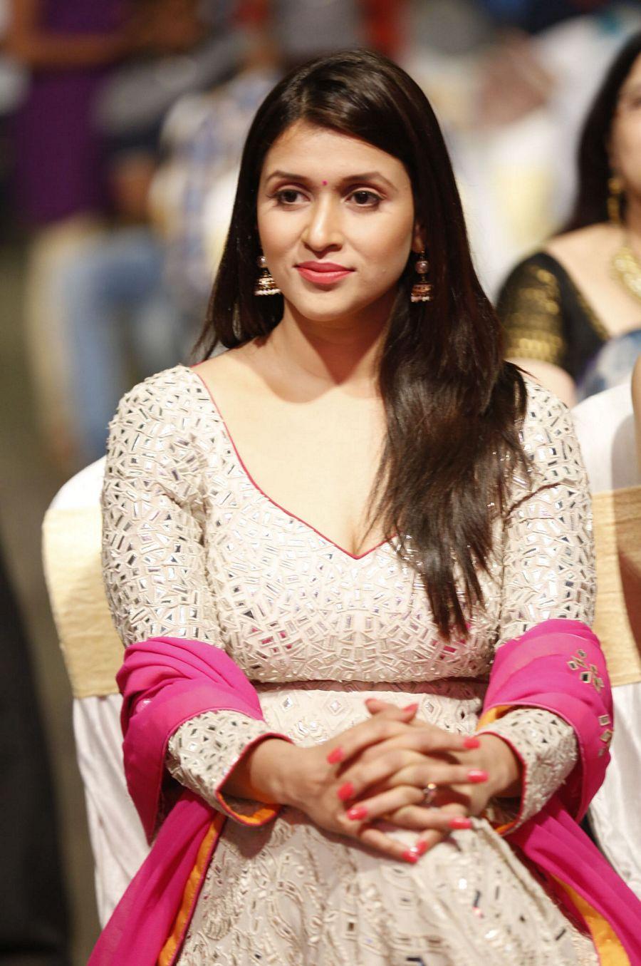 Rogue Telugu Movie Audio Launch Photos