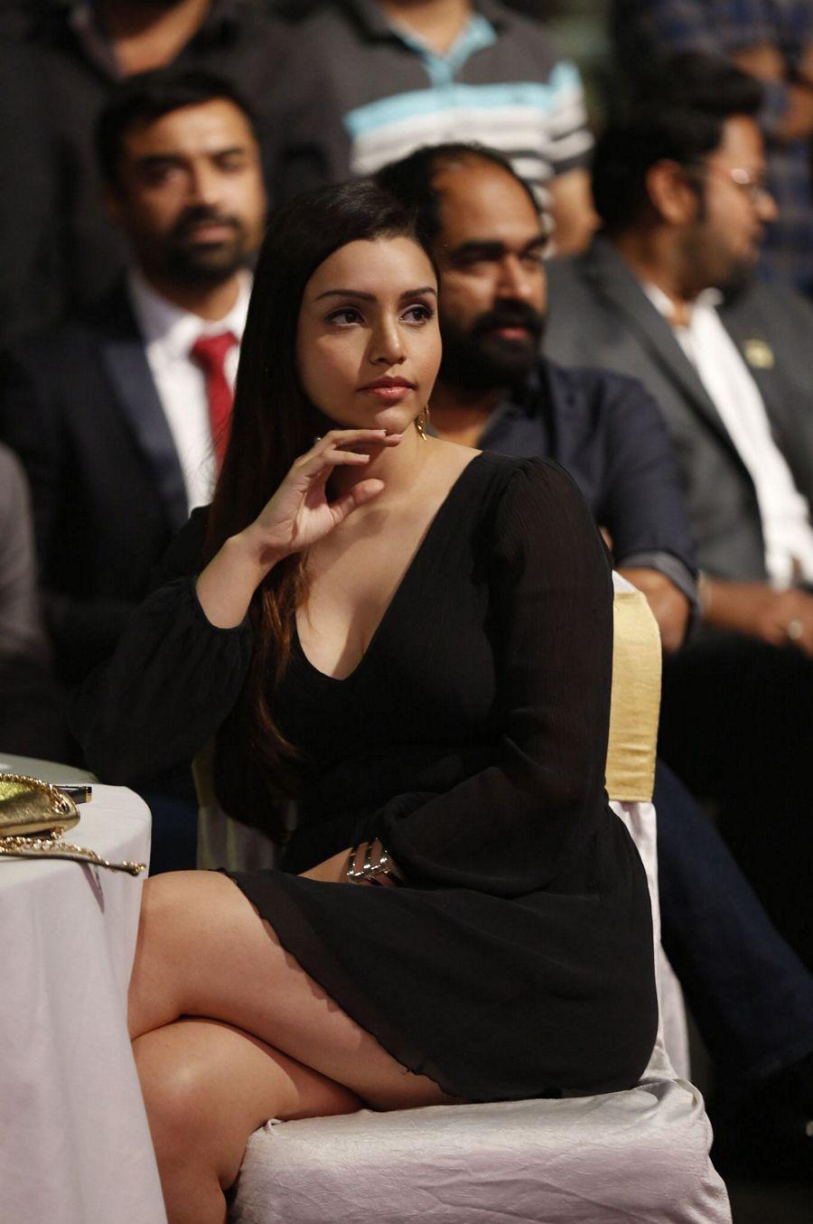Rogue Telugu Movie Audio Launch Photos