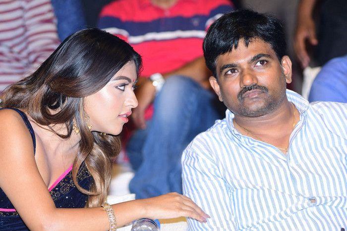 Sailaja Reddy Alludu Movie Pre Release Event Photos