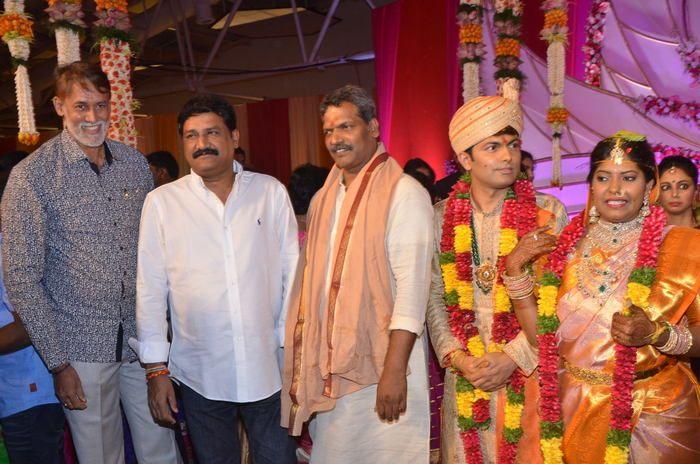 Shyam Prasad Reddy Daughter Wedding Photos