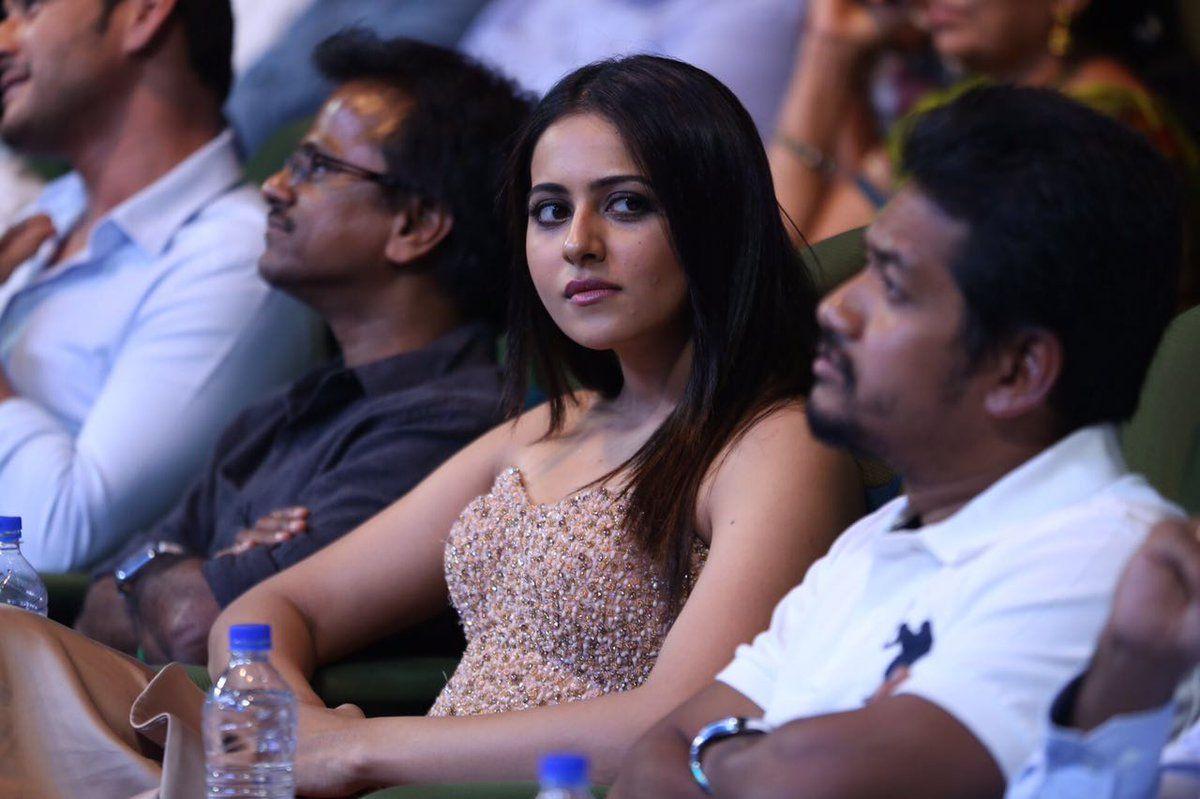 Spyder Audio Launch Photos