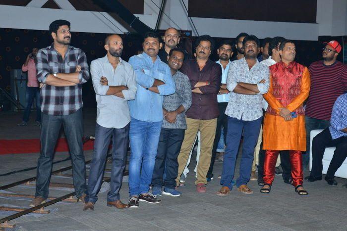 Srinivasa Kalyanam Movie Audio Launch Photos