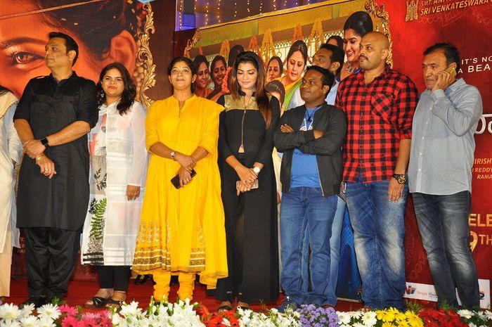 Srinivasa Kalyanam Movie Pre Release Function Photos