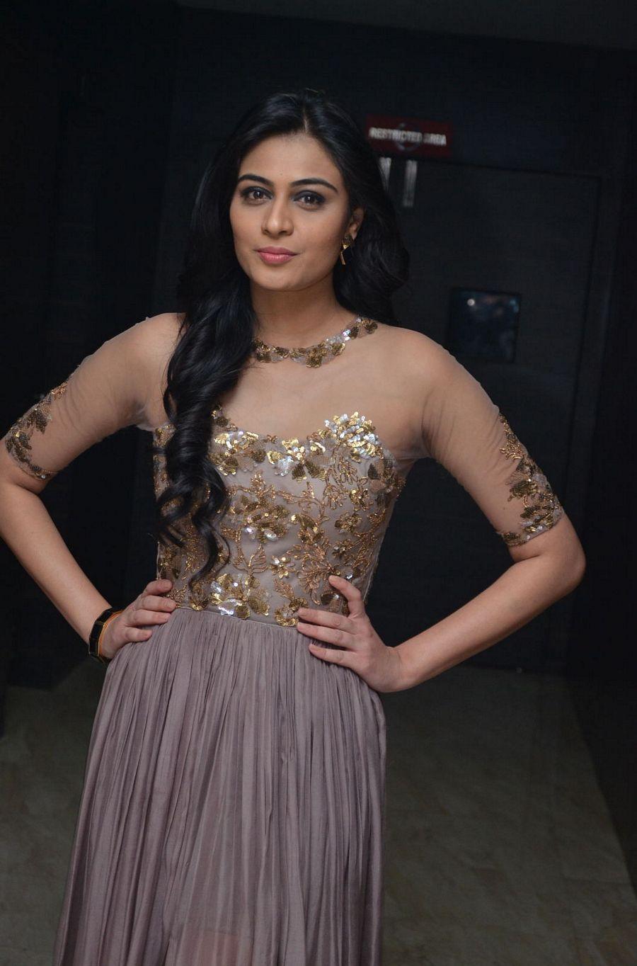 Srivalli Movie Audio Launch Photos