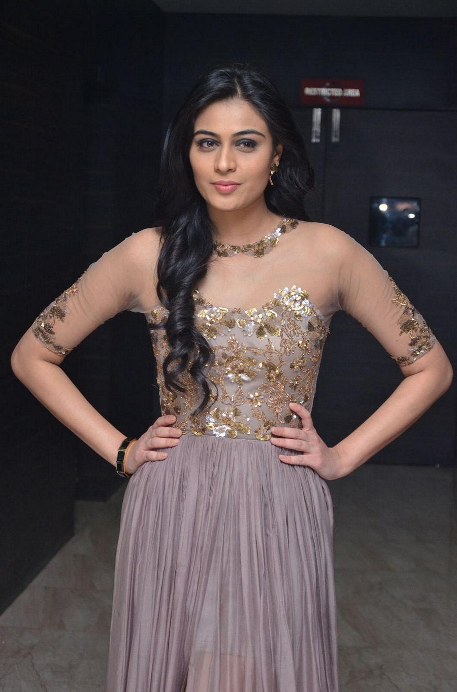 Srivalli Movie Audio Launch Photos