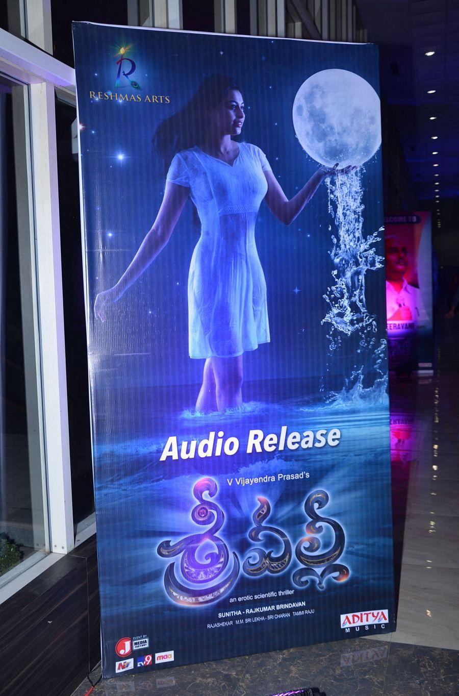 Srivalli Movie Audio Launch Photos