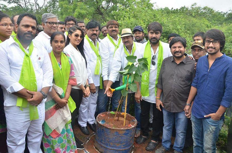 Tollywood Celebrities Participate in Haritha Haram Event Photos