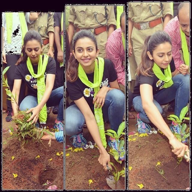 Tollywood Celebrities Participate in Haritha Haram Event Photos