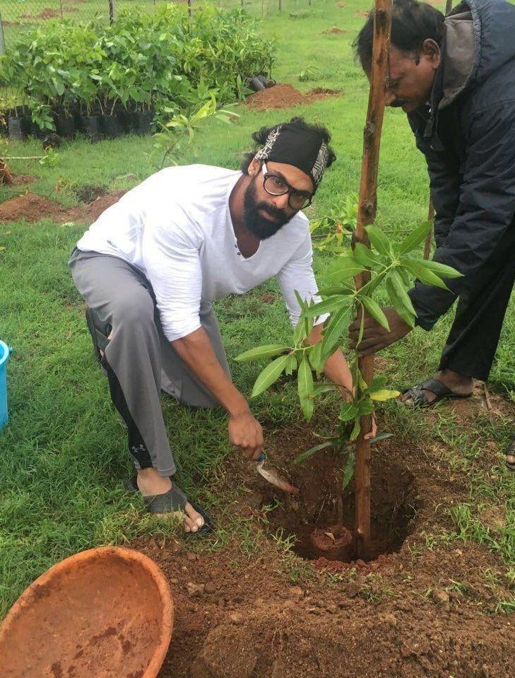 Tollywood Celebrities Participate in Haritha Haram Event Photos
