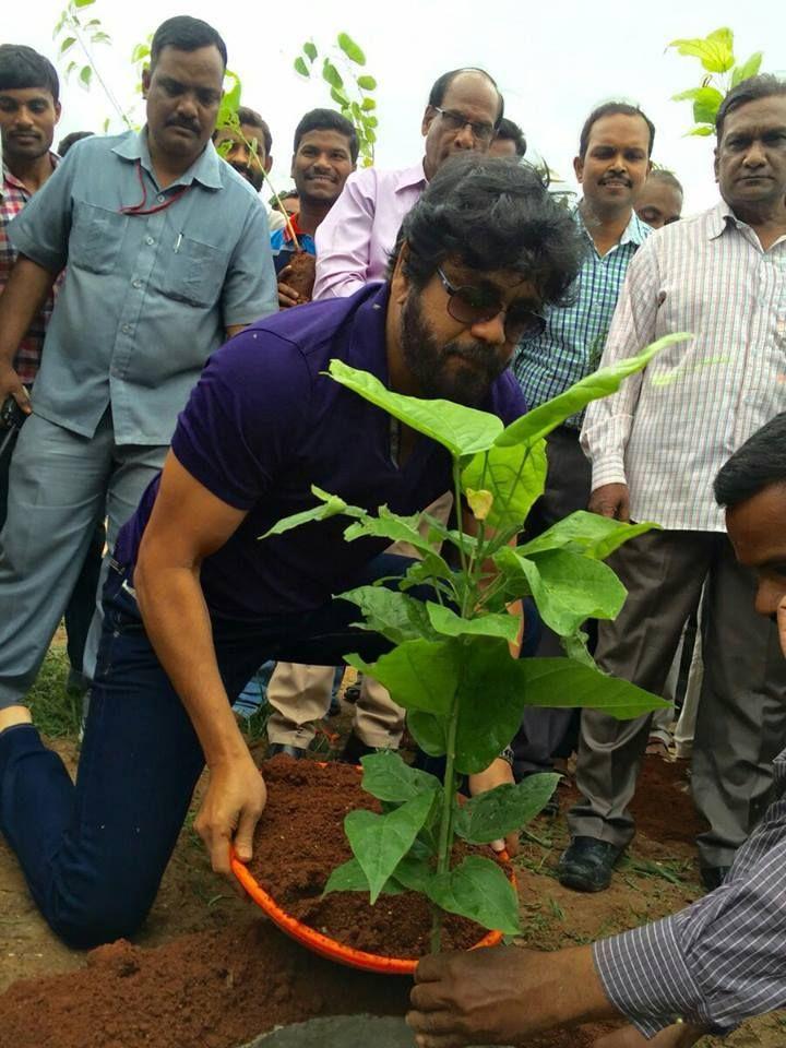 Tollywood Celebrities Participate in Haritha Haram Event Photos