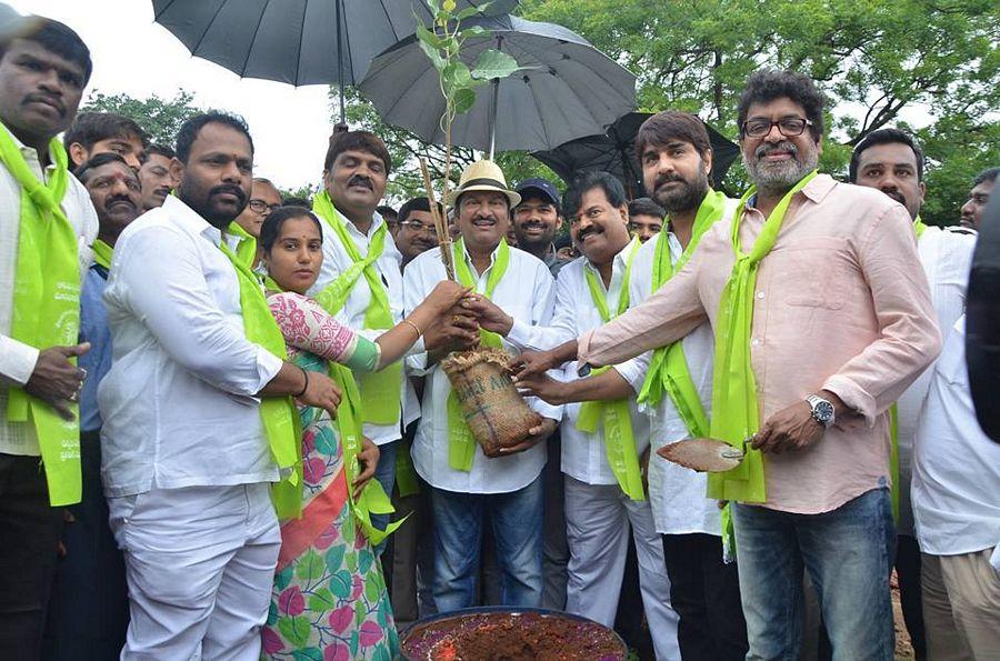 Tollywood Celebrities Participate in Haritha Haram Event Photos