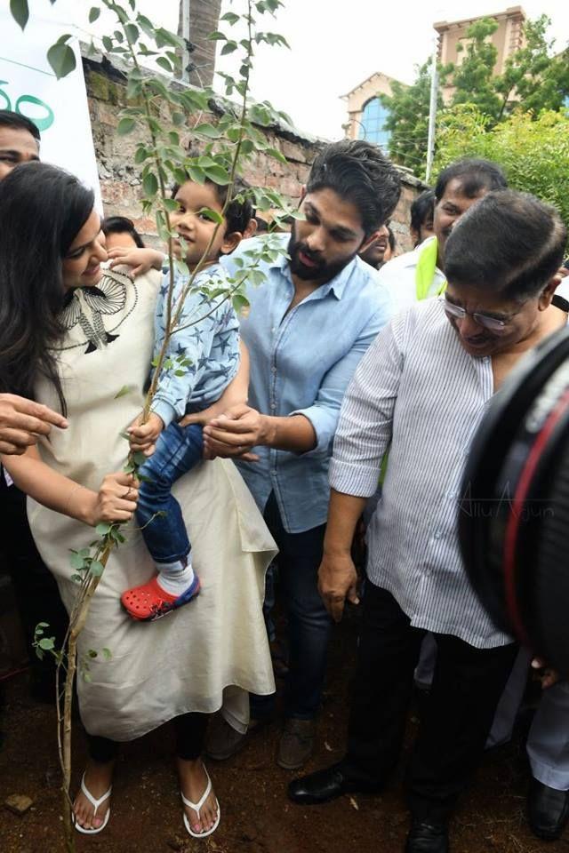 Tollywood Celebrities Participate in Haritha Haram Event Photos