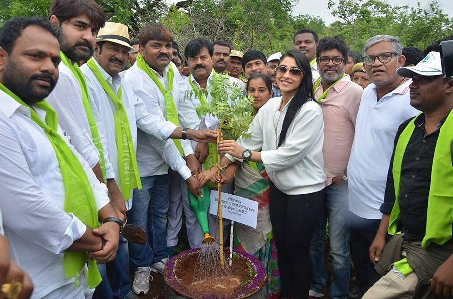 Tollywood Celebrities Participate in Haritha Haram Event Photos