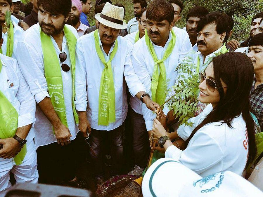 Tollywood Celebrities Participate in Haritha Haram Event Photos