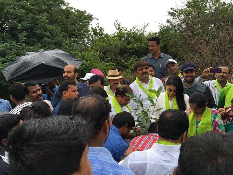 Tollywood Celebrities Participate in Haritha Haram Event Photos