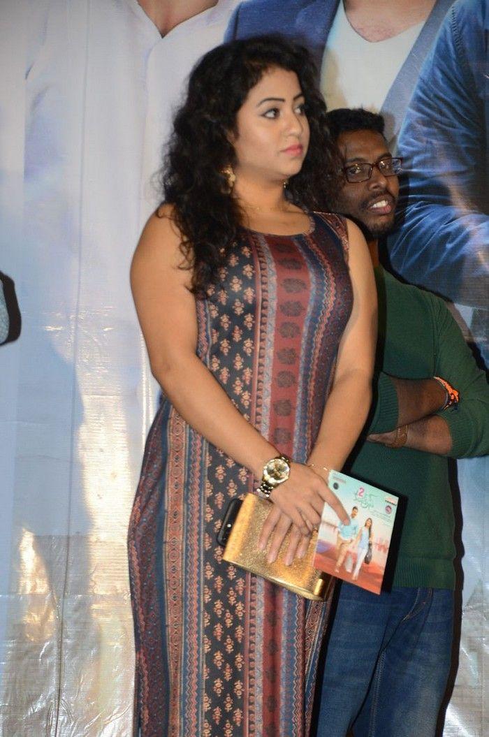 Two Countries Movie Audio Launch Stills