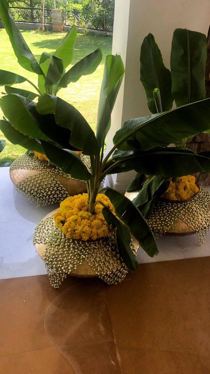 Upasana at her family wedding festivities Photos