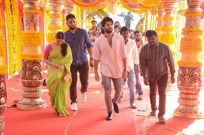 Vijay Devarakonda & Mehreen Pirzada New Movie Launch Photos