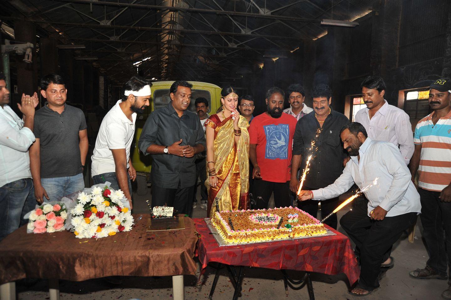 Actress Larissa Birthday Celebrations on the sets of Thikka Photos