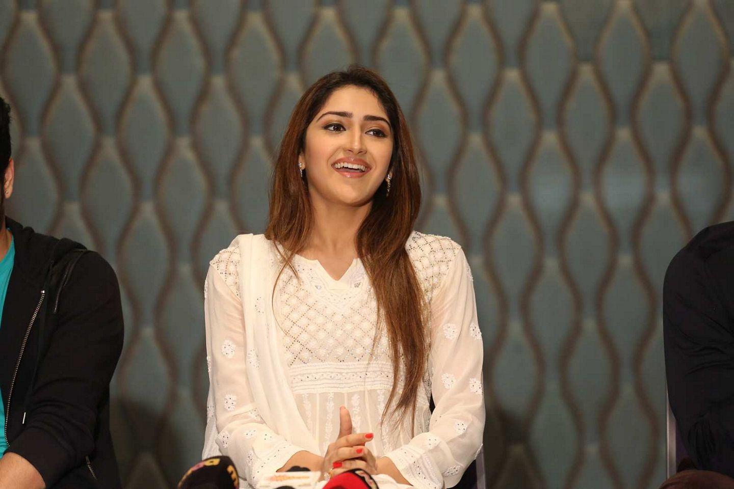 Akhil Movie Success Meet Photos