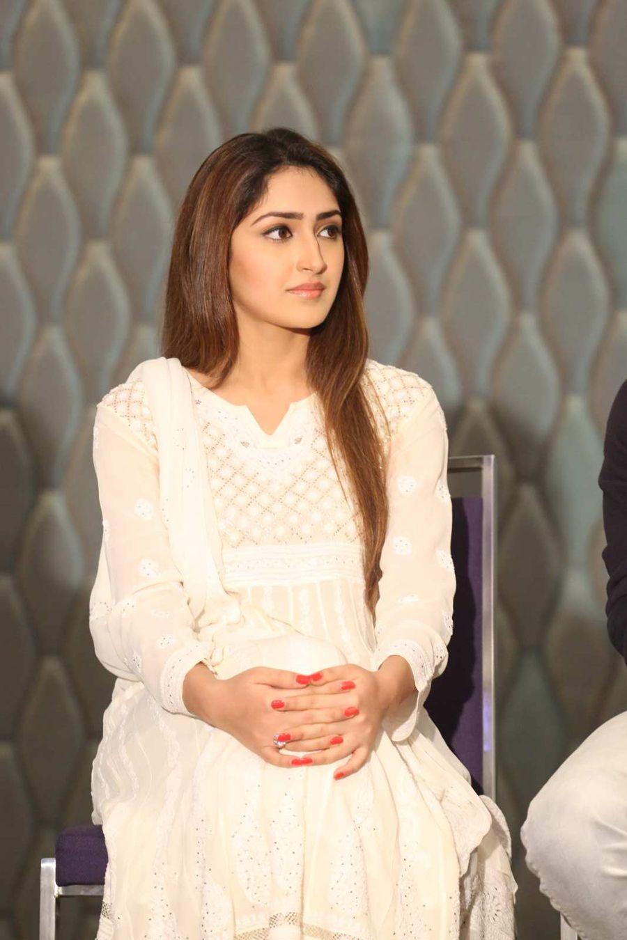 Akhil Movie Success Meet Photos