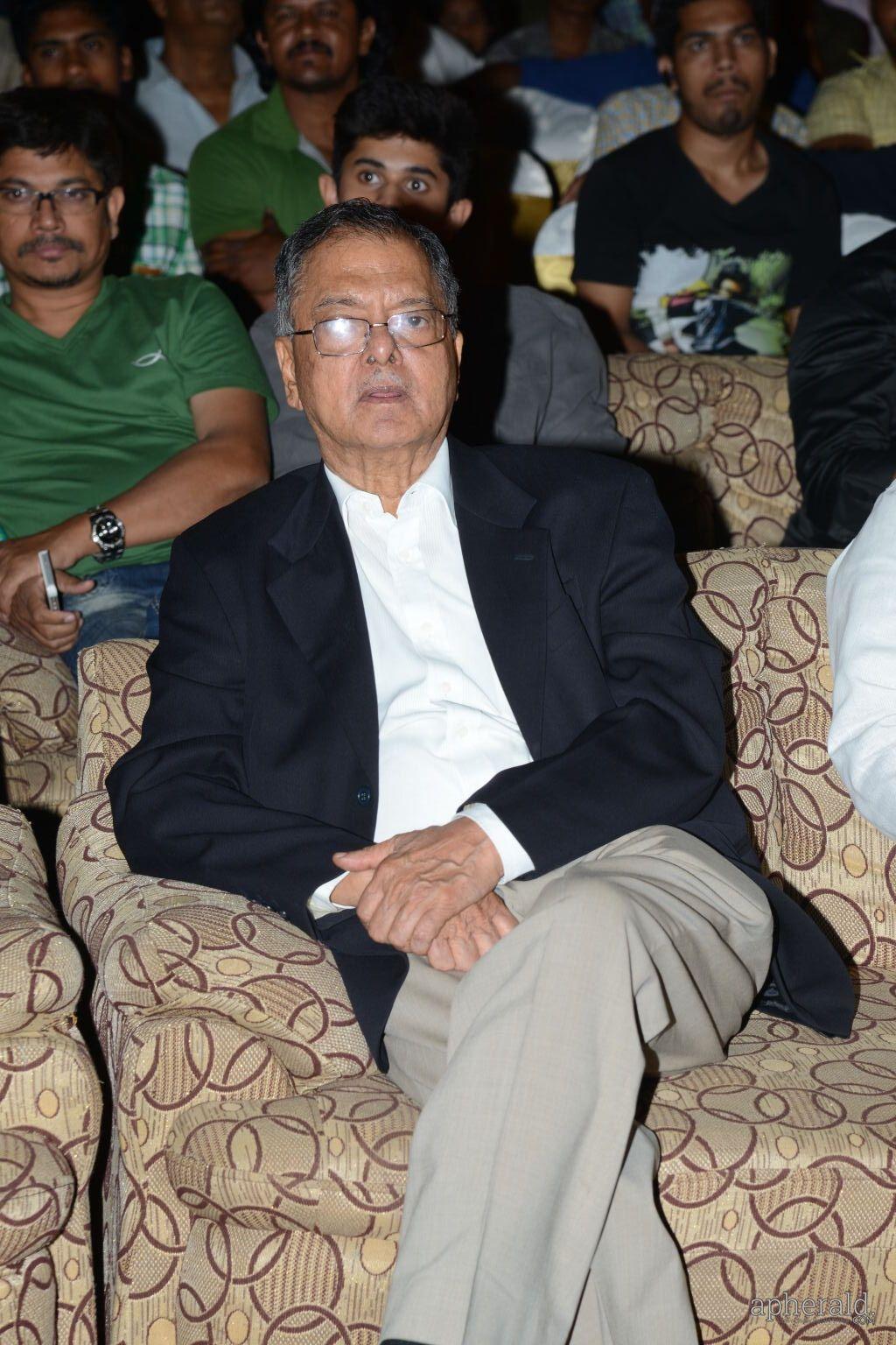 Andhra Pori Audio Launch Photos
