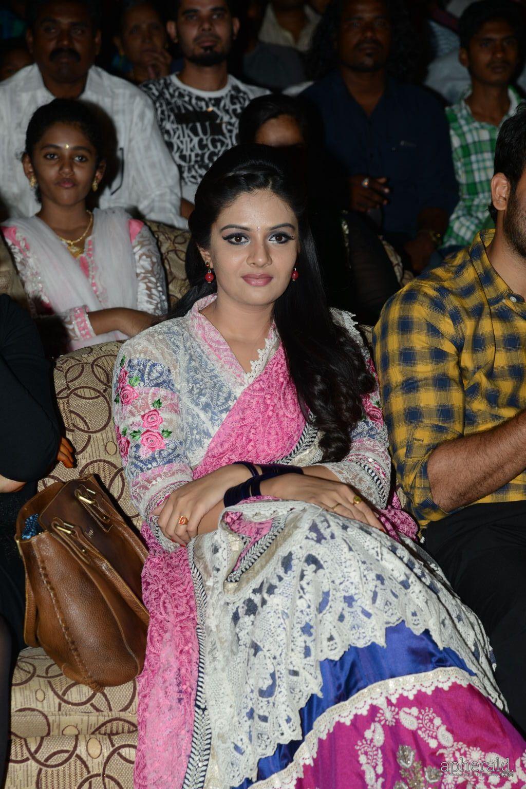 Andhra Pori Audio Launch Photos