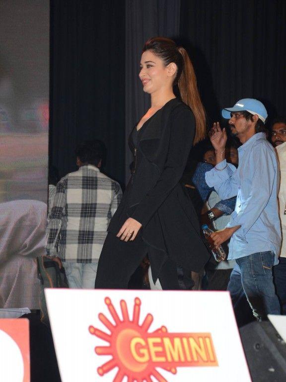 Bengal Tiger Audio Launch Pics